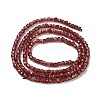 Natural Garnet Beads Strands G-B088-E11-02-3