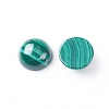 Natural Malachite Cabochons X-G-E557-06C-1