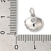 Rack Plating Brass Clear Cubic Zirconia Charms KK-Z056-29P-3