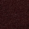 MIYUKI Round Rocailles Beads SEED-G009-RR0419-3