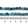 Natural Apatite Beads Strands G-C127-A01-03-5