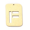 Ion Plating(IP) 304 Stainless Steel Pendants STAS-K216-49F-G-1