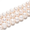 Natural Cultured Freshwater Pearl Beads Strands PEAR-N013-10D-01-1