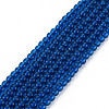 Glass Beads Strands GLAA-N041-008E-1