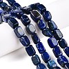 Natural Lapis Lazuli Dyed Beads Strands G-T138-173-1