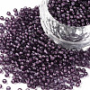 12/0 Grade A Round Glass Seed Beads SEED-N001-D-11/218-1