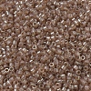 MIYUKI Delica Beads SEED-X0054-DB0102-3