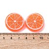 Resin Imitation Fruit Model DJEW-G047-01C-3