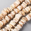 Natural Freshwater Shell Beads Strands SHEL-C001-10-7