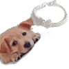 Adjustable 3-Row Brass Micro Pave Cubic Zirconia Cup Chain Pet Collars PW-WG63250-03-1