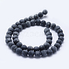 Natural Larvikite Beads Strands G-F545-A-4