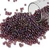 TOHO 8/0 Round Beads SEED-TR08-0166B-1