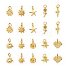 Craftdady 20Pcs 10 Style Brass Charms KK-CD0001-24-11