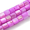 Natural Freshwater Shell Beads Strands SHEL-F008-04B-1