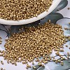 MIYUKI Delica Beads X-SEED-J020-DB1832F-1