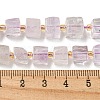 Natural Amethyst Beads Strands G-G053-B13-01B-5