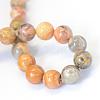 Natural Crazy Lace Agate Round Bead Strands G-E334-6mm-20-3