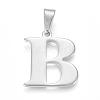 Tarnish Resistant 304 Stainless Steel Pendants STAS-F106-95P-B-1