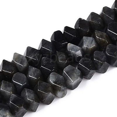 Natural Larvikite Beads Strands G-N327-05-28-1