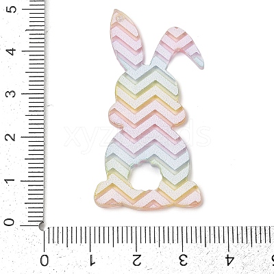 Printed Transparent Acrylic Pendants FIND-K017-14B-1