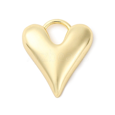 Brass Charms KK-F895-04G-1