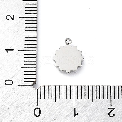 304 Stainless Steel Charms STAS-S163-08A-P-1