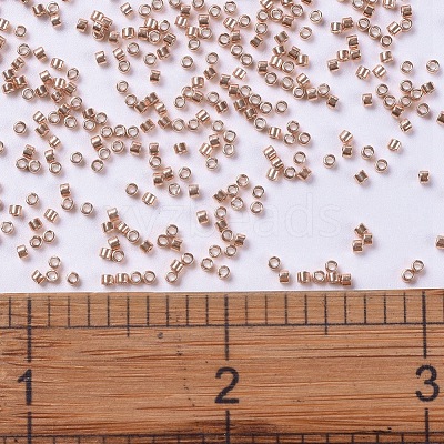 MIYUKI Delica Beads SEED-X0054-DB0434-1