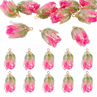 10Pcs Transparent Acrylic Pendants SACR-TA0001-66A-1