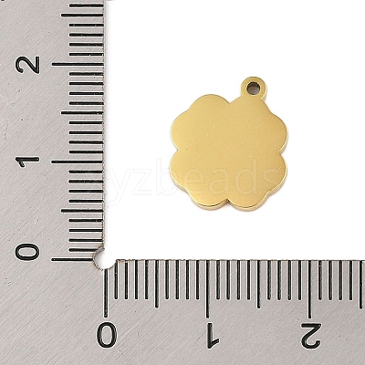 304 Stainless Steel Enamel Charms STAS-P377-06G-1