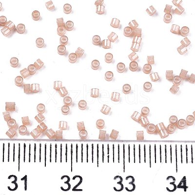 FGB 11/0 Grade A Baking Paint Glass Seed Beads X-SEED-S030-1145-1