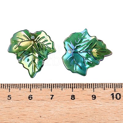 Acrylic Pendants OACR-N137-31B-1