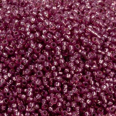 MIYUKI Round Rocailles Beads X-SEED-G009-RR0645-1