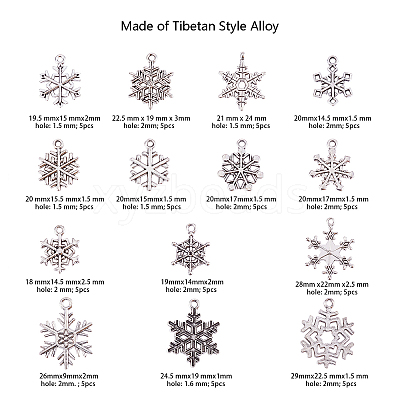 Tibetan Style Alloy Big Pendants TIBE-CJ0001-04-1