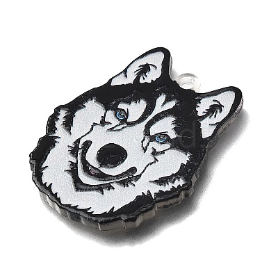 Printed Acrylic Pendants OACR-P033-01F-1