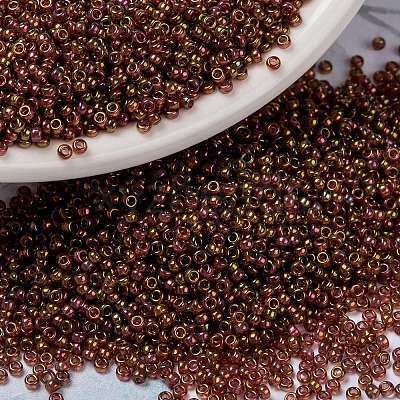 MIYUKI Round Rocailles Beads X-SEED-G009-RR0301-1