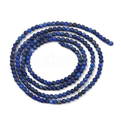 Natural Lapis Lazuli Beads Strands G-L628-A01-2mm-01-1