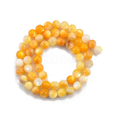 Natural Golden Yellow Shell Beads Strands SSHEL-G024-01B-1