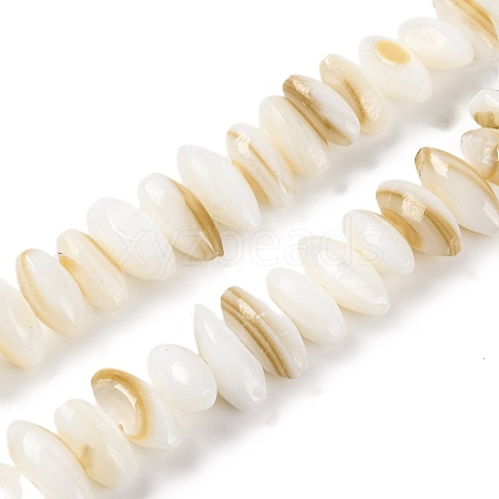 Natural Anomaly Freshwater Shell Beads Strands BSHE-S304-05B-1