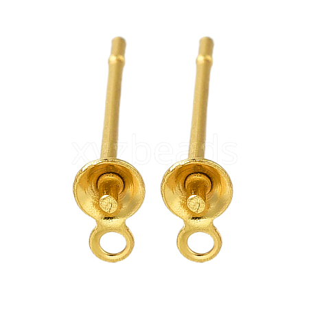 304 Stainless Steel Stud Earring Findings STAS-P370-02B-G-1