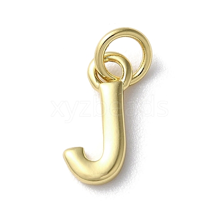 Rack Plating Brass Charms KK-P245-06G-J-1