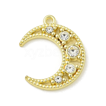 Zinc Alloy Crystal Rhinestone Pendants PALLOY-F310-05G-02-1