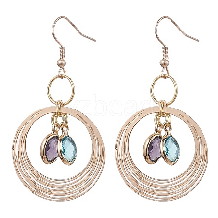 Glass Oval Dangle Earrings EJEW-JE05724-1