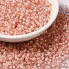 12/0 Transparent Glass Seed Beads SEED-F003-03C-15-1