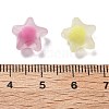 Frosted Transparent Acrylic Beads OACR-A032-13A-3