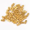 Brass Screw Clasps KS-TAC0003-04G-2