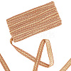 Polyester Braided Lace Trims WCOR-WH0001-04E-1