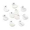 10Pcs Natural Trochid Shell/Trochus Shell Beads SHEL-CJ0001-31-1