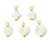 5pcs 5 Styles Natural Shell Pendants PALLOY-JF03071-1