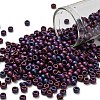 TOHO 6/0 Round Beads X-SEED-TR06-0704-1