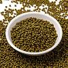 MIYUKI Round Rocailles Beads SEED-X0055-RR4491-2